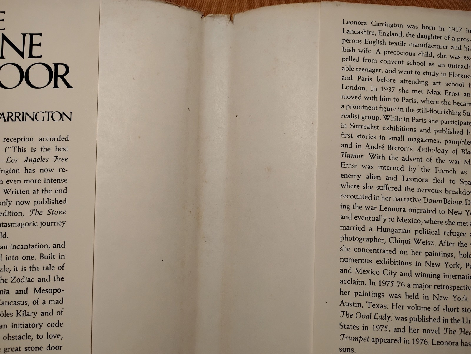 the Stone Door Leonora Carrington St. Martin’s Press 1977 HCDJ 1st U.S. edition