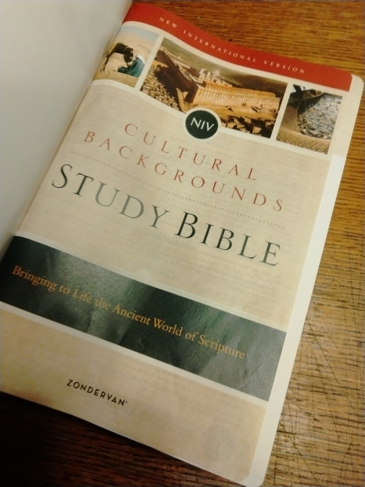 Zondervan NIV Cultural Backgrounds Study Bible Leathersoft Green