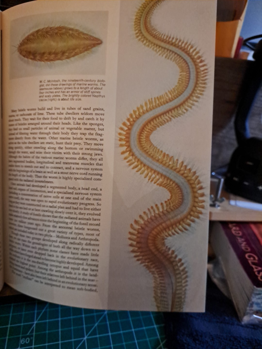 Seas,Maps,And Men Atlas-History of Man’s Exploration of the Oceans Free ship
