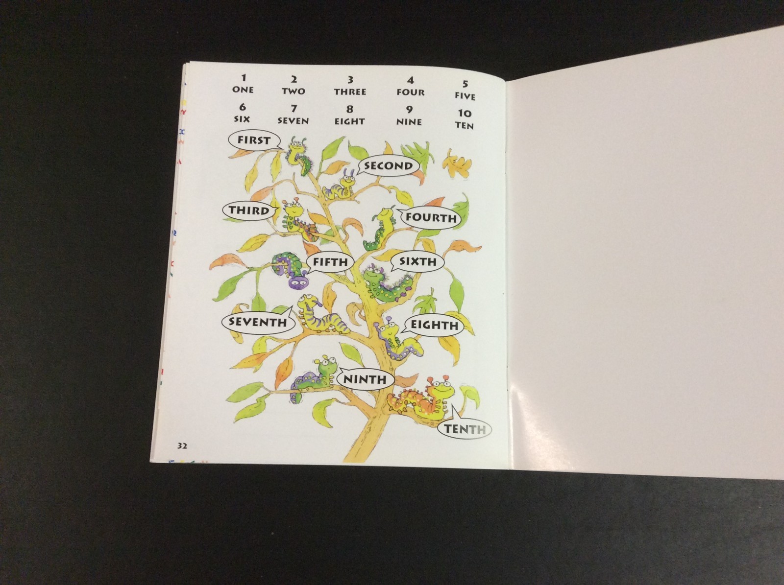 My Word Book by Shortland Publications (Like New)