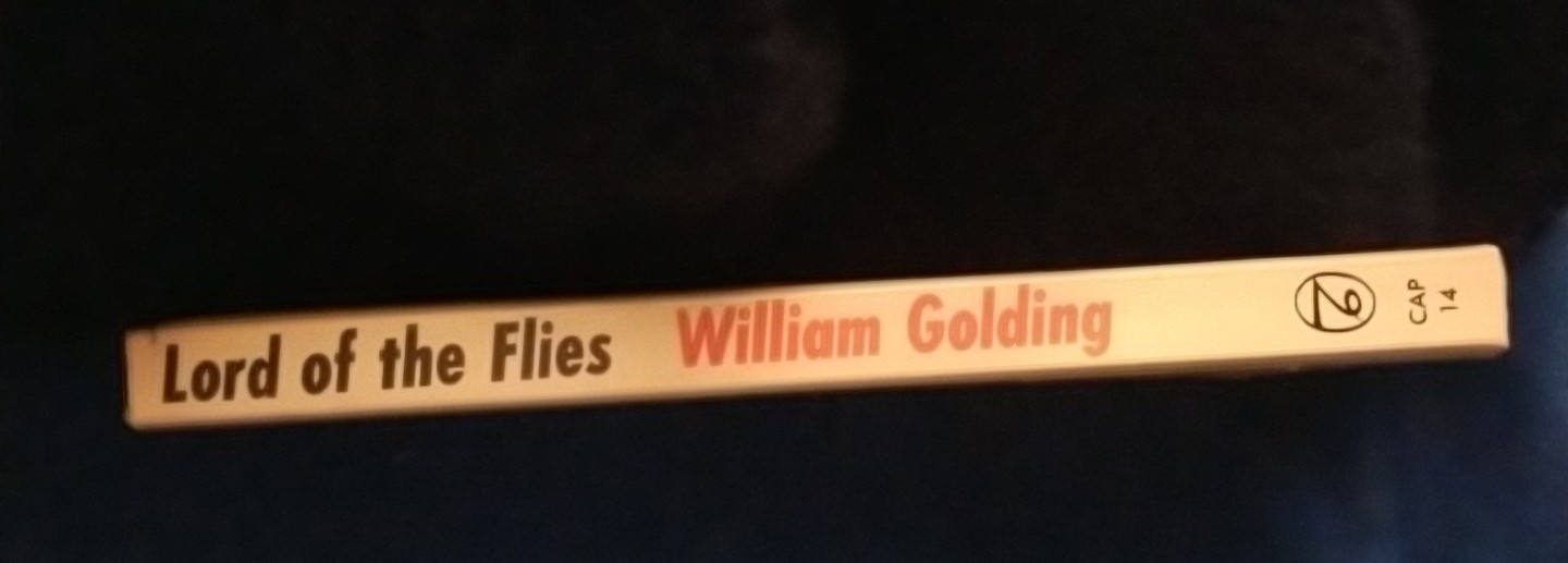 VINTAGE: Lord Of The Flies By William Golding. Paperback 1959. 46th Impression.