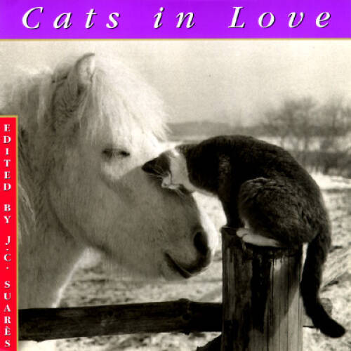 Cats In Love – Hardcover By Suares, Jc – VERY GOOD