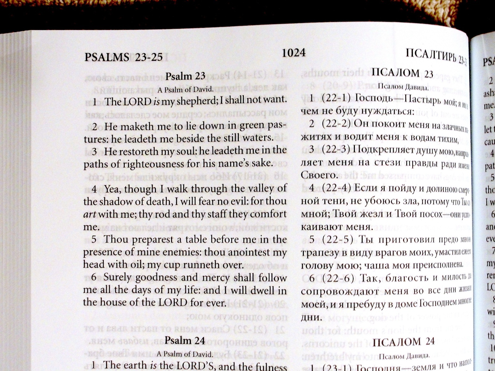 Russian/English Parallel Bible, Black Paperback, Synodal/King James Version