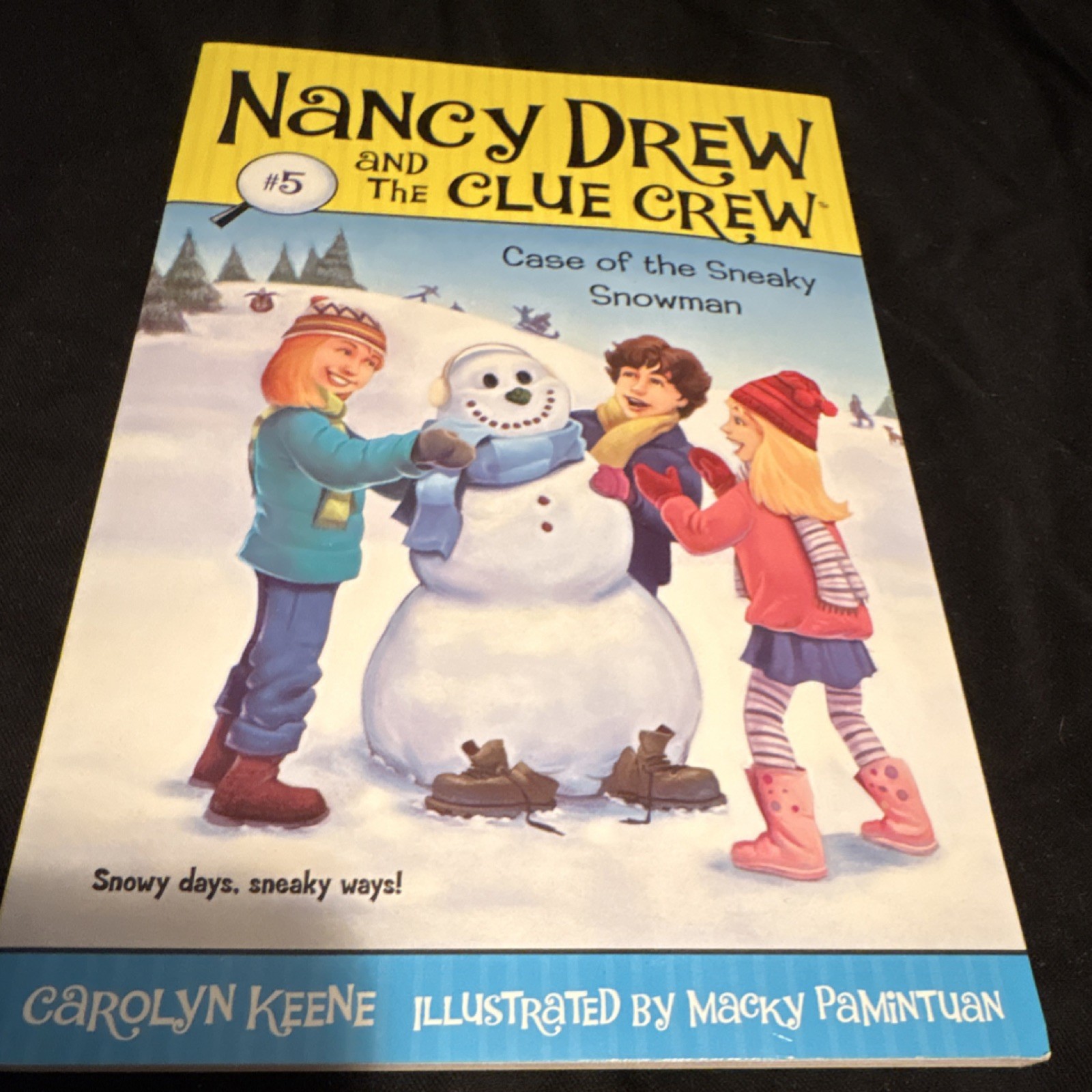 Nancy Drew and the Clue Crew #5 Keene Aladdin Paperback Ages 6-9 Illustrated