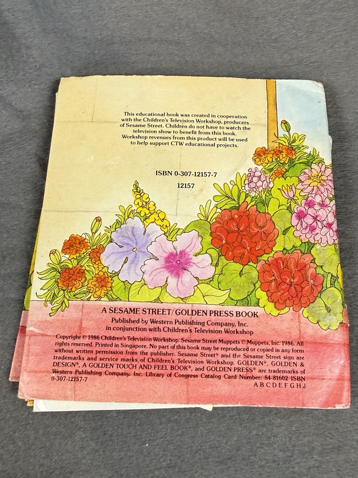 Vintage 1986 Sesame Street Who’s Hiding Golden Touch Feel Book