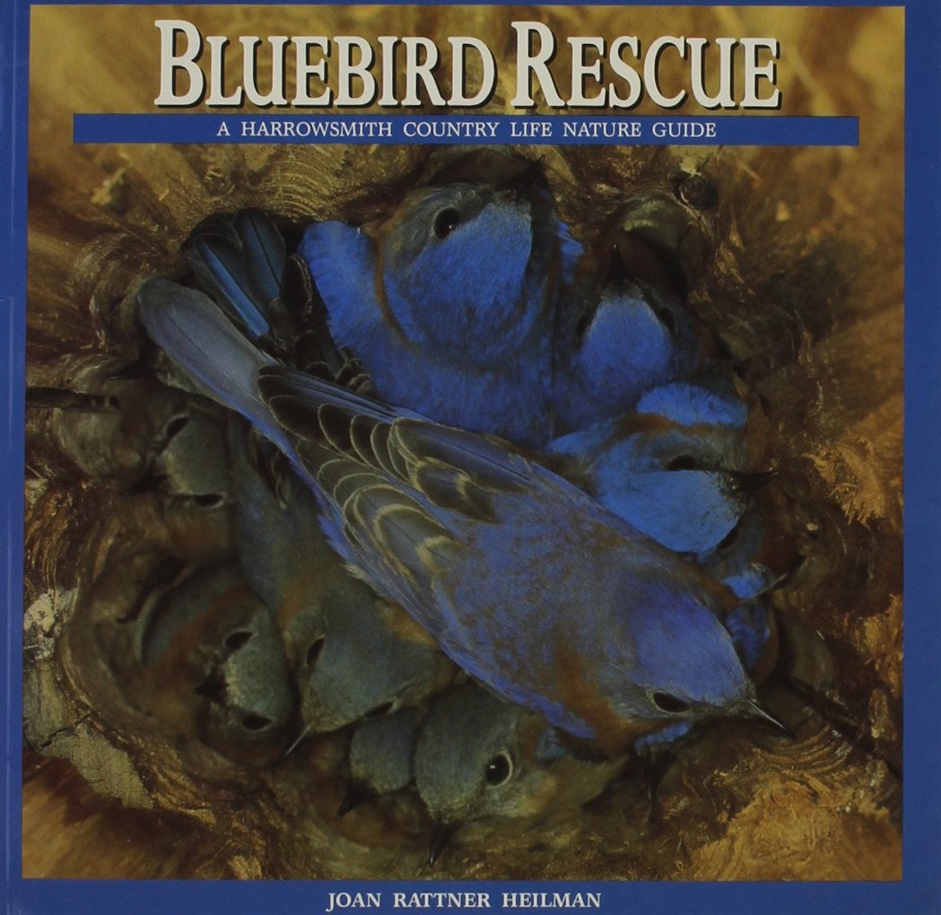 Bluebird Rescue: Country Life Nature Guide (Harrowsmith Country Life Nature …