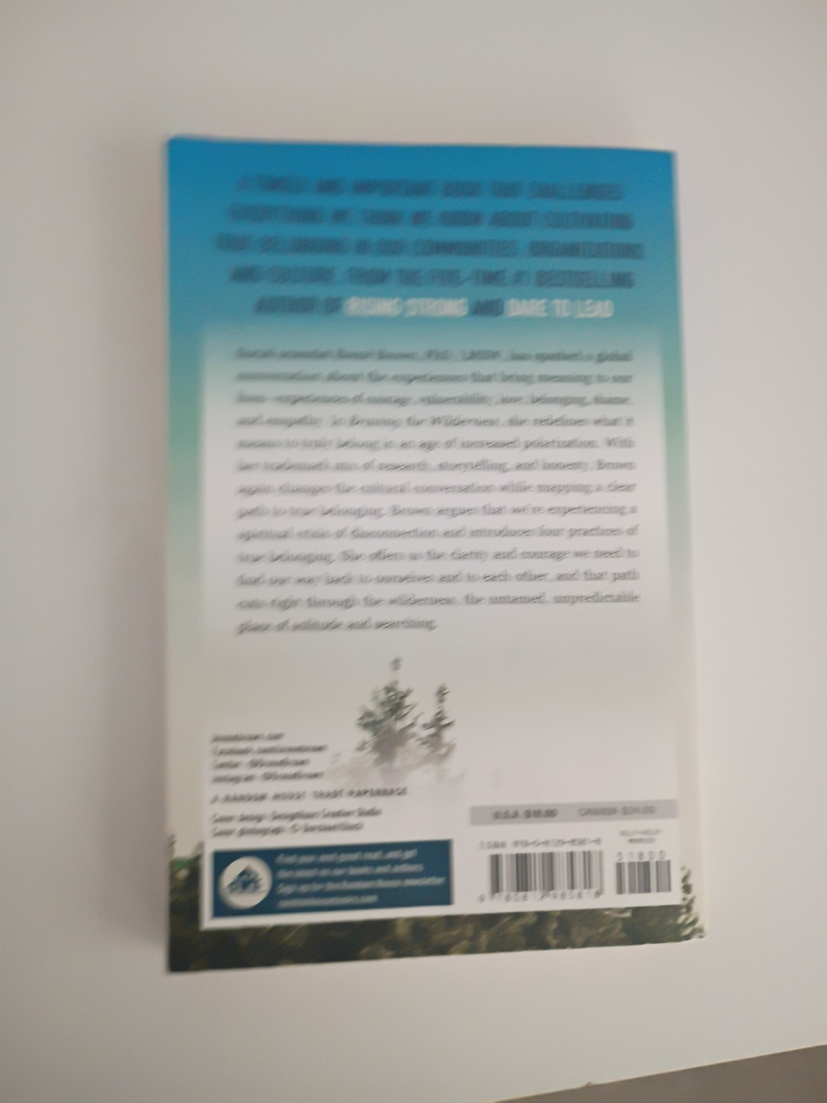 New Braving The Wilderness Brene Brown NY Times Bestseller Soft Cover