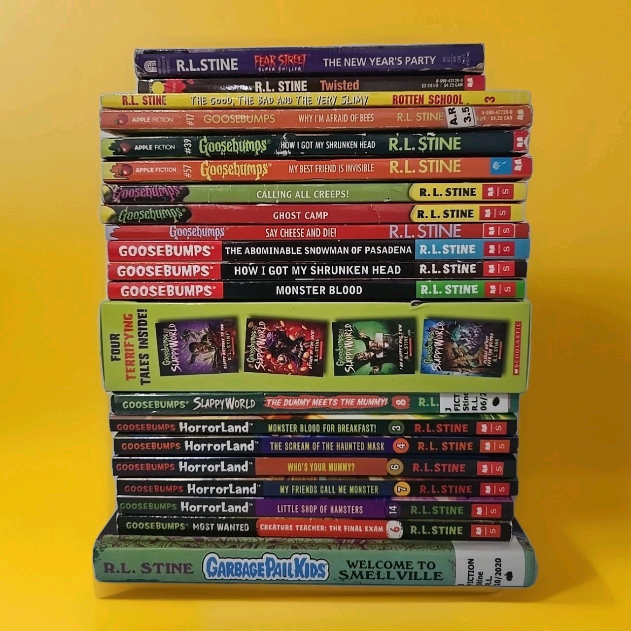 R.L. Stine Book Lot Of 24- Fear Street, Twisted, Rotten School, Goosebumps,