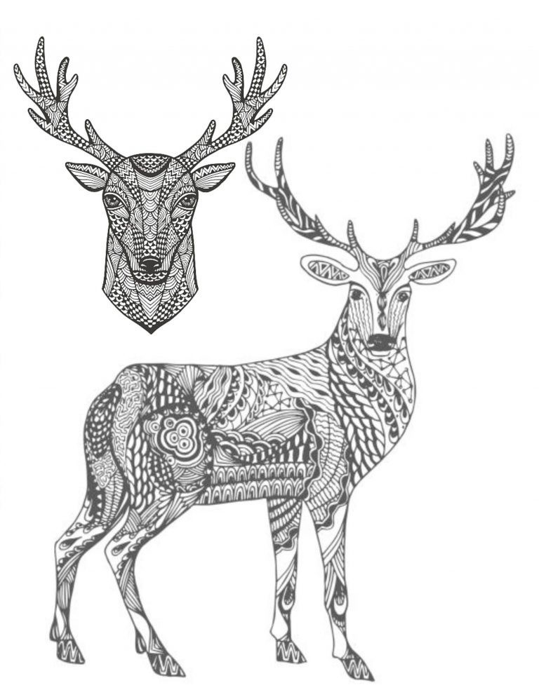 Deer best Coloring Book for Adults and Teens 108 Pages 8.5 x 11 for All Ages