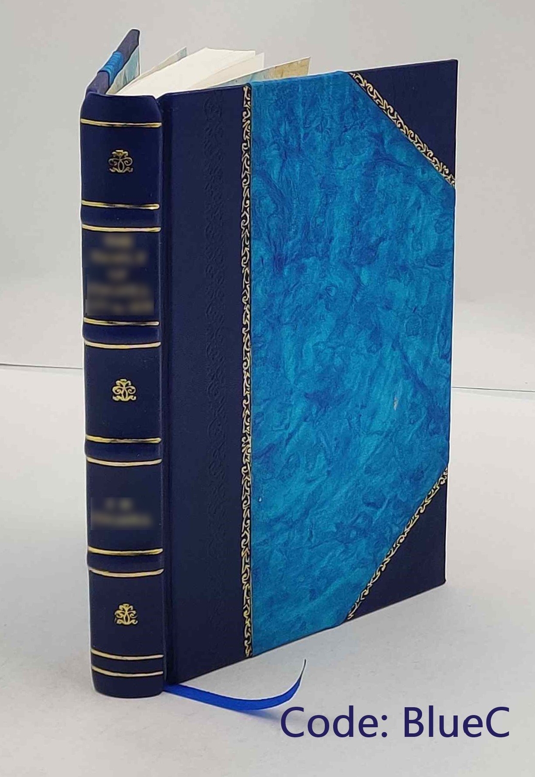 Geschichte des osterreichischen Strafrechtes in Verbindung mit e [Leather Bound]