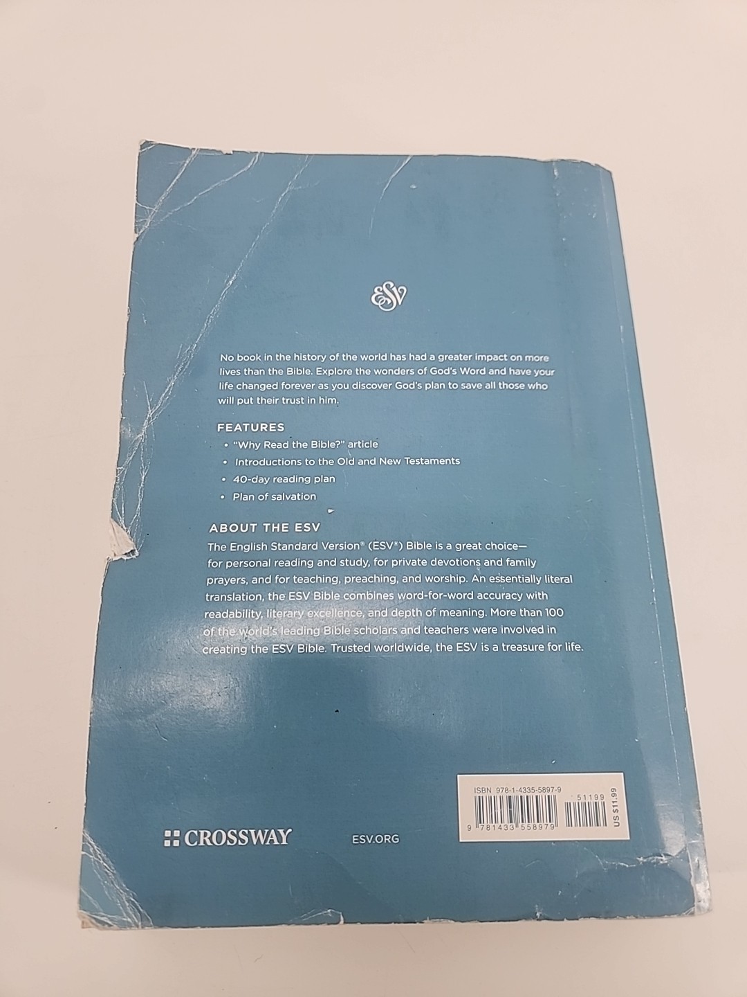 ESV Economy Bible, Giant Print by ESV Bibles