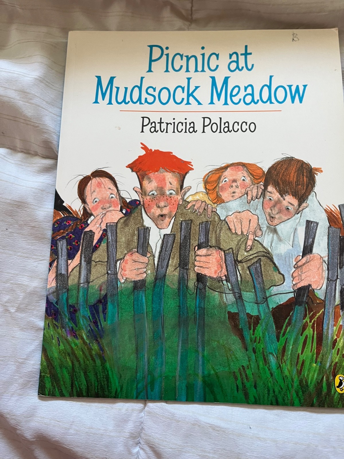 Patricia Polacco book collection – 24 books. – hard and soft back- Make an offer