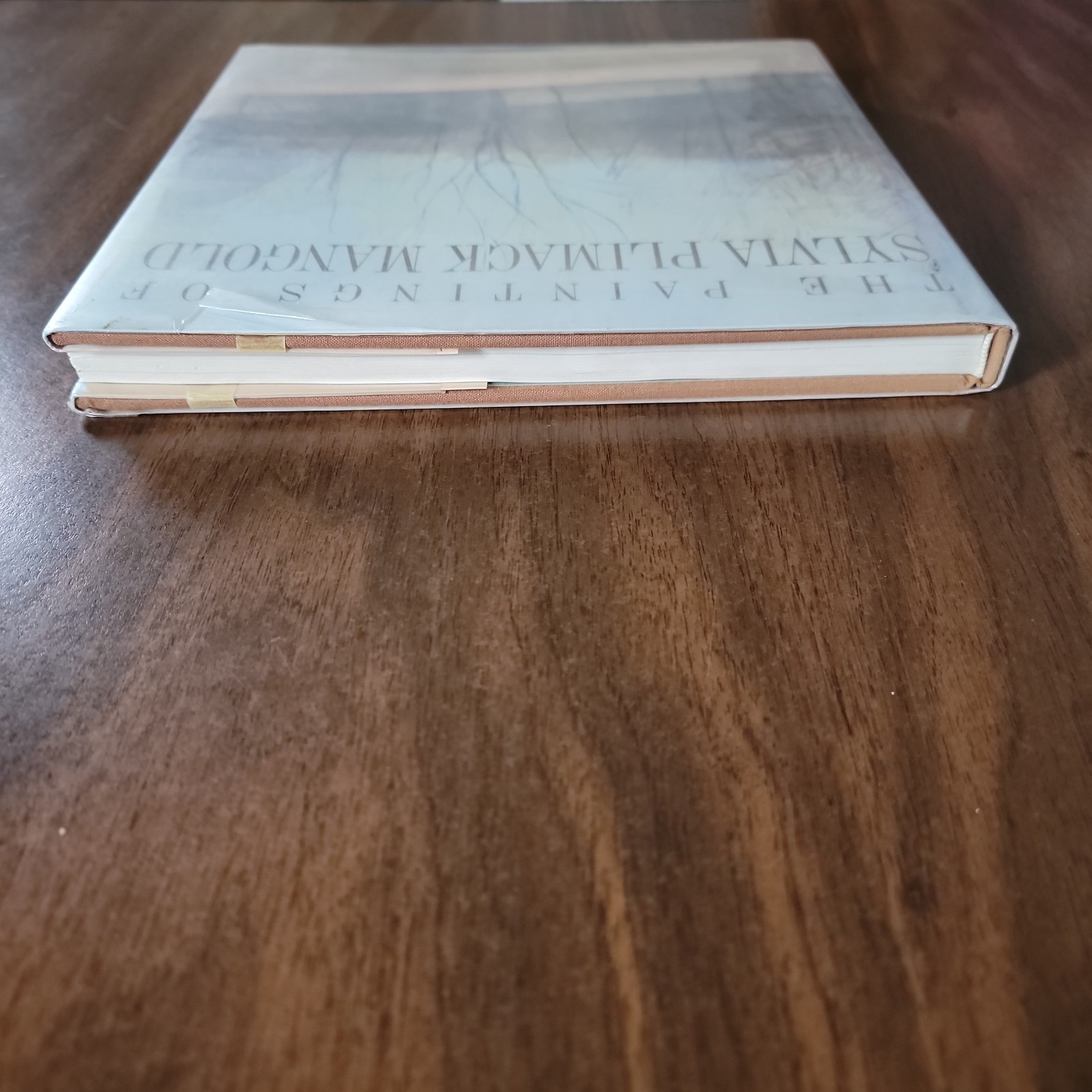 The Paintings of Sylvia Plimack Mangold: 1965-1982 Thomas H. Garver