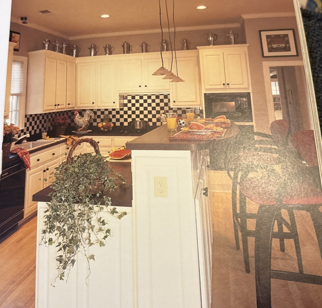 Vtg Rare Better Homes and Gardens Window Treatment Decorating Ideas (2002)