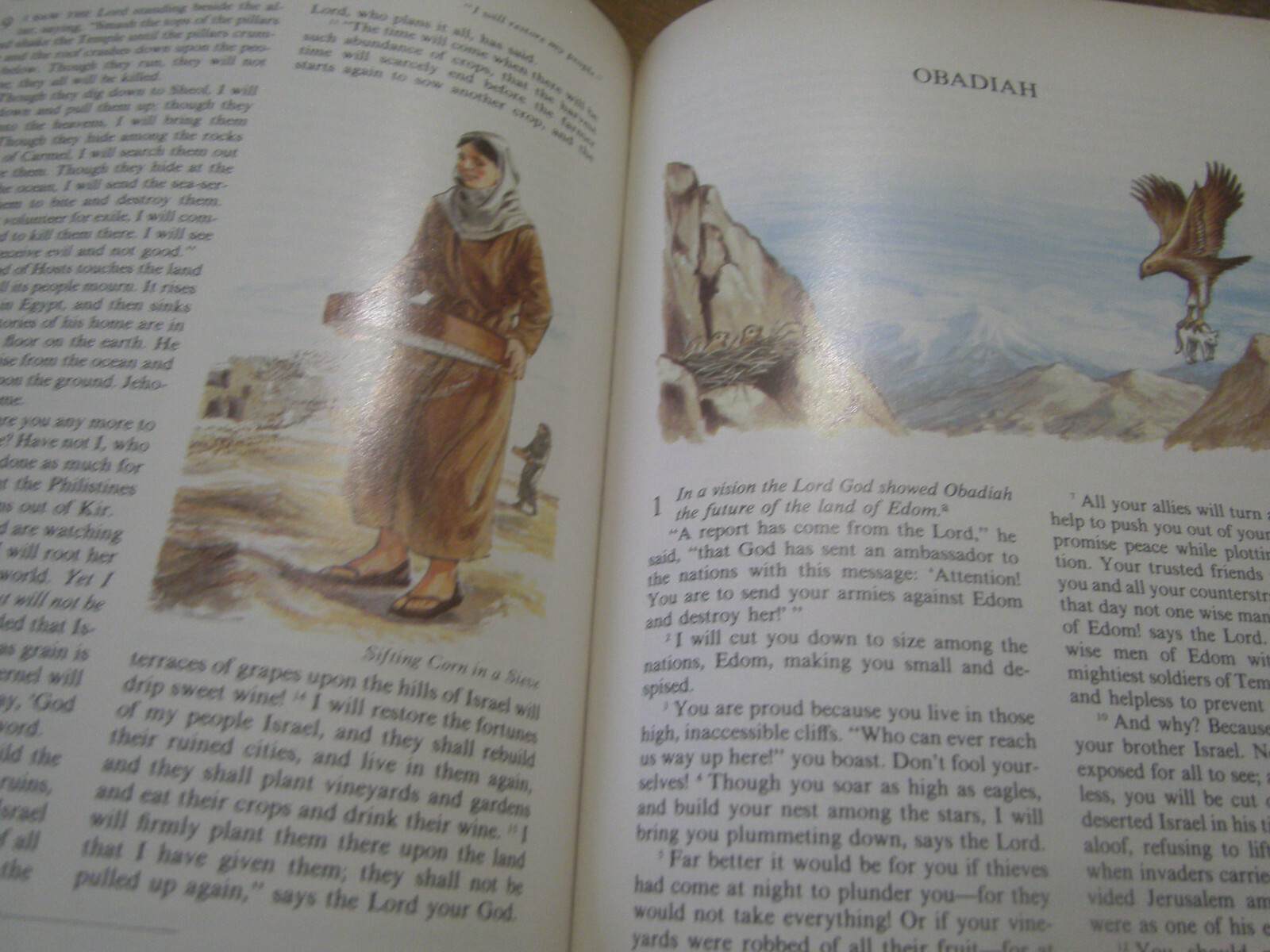 1973 Living Bible Holman Paraphased Illustrated 1973 1250 pages