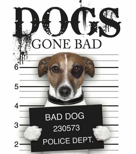 Dogs Gone Bad – Hardcover By Amber Books – VERY GOOD