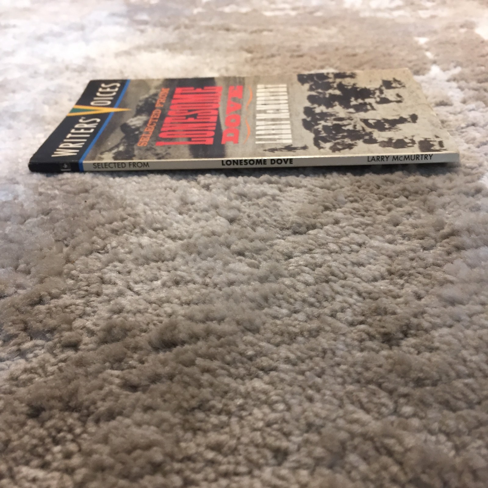 Selected From Lonesome Dove Larry McMurtry 1992 Literacy Volunteers Of New York