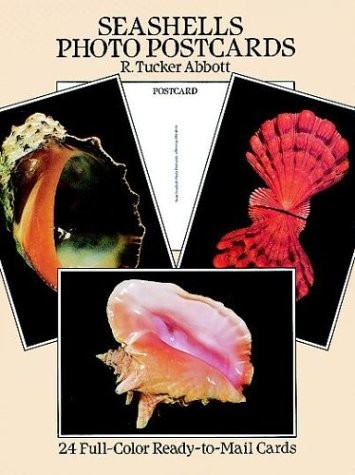 SEASHELLS PHOTO POSTCARDS: 24 FULL-COLOR READY-TO-MAIL By R. Tucker Abbott *VG+*