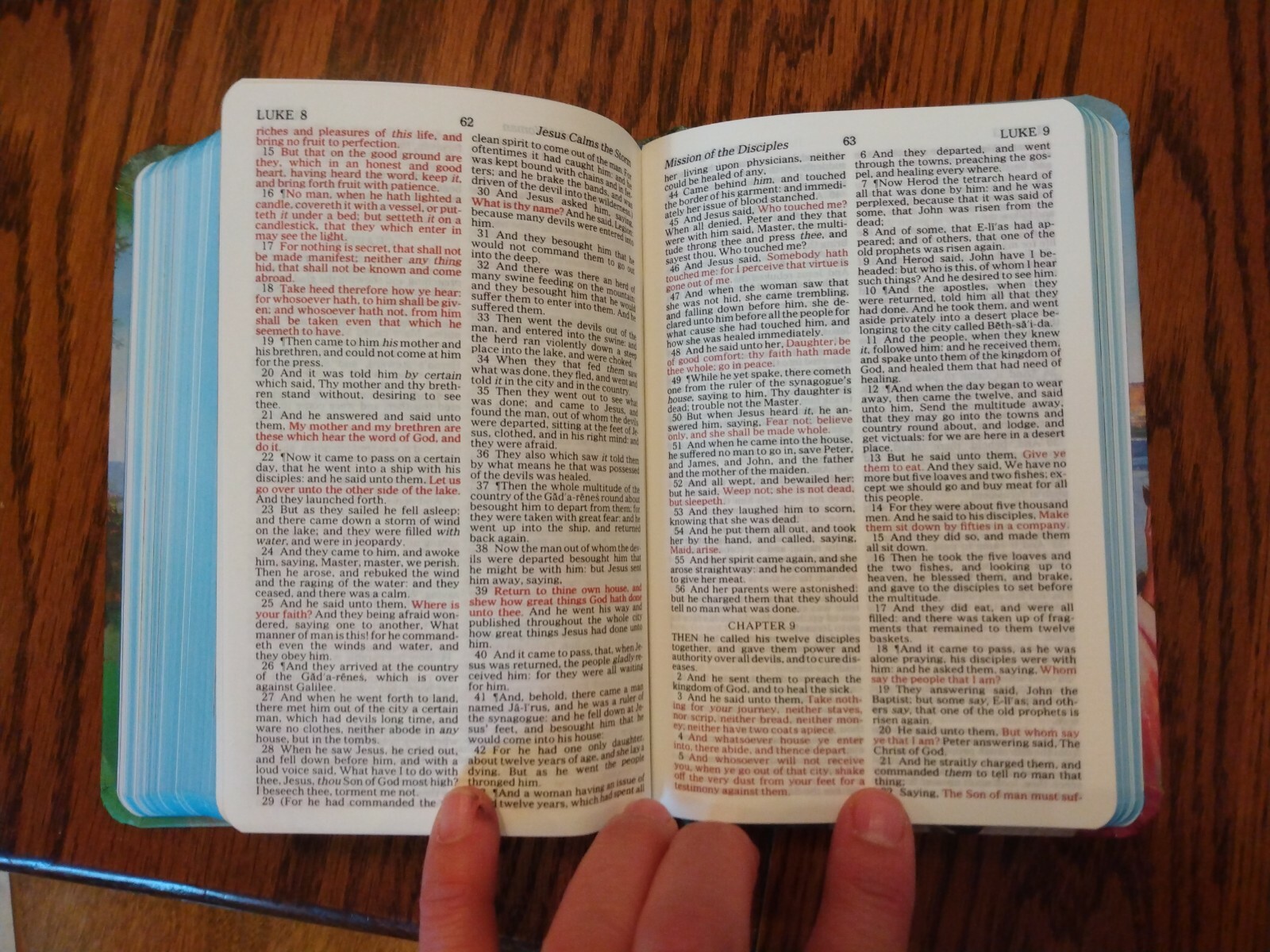 Children’s Bible KJV Seaside Bible Illustrated Nelson Hardcover blue edge