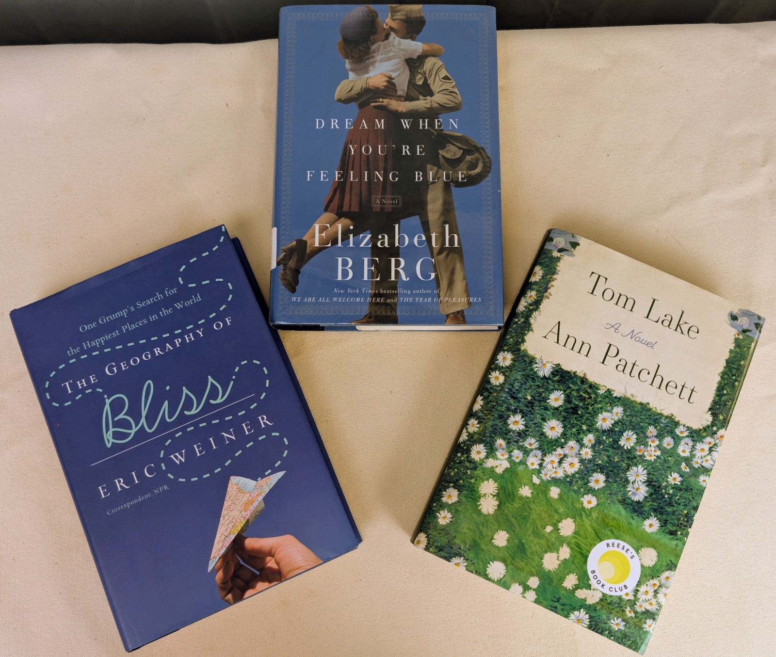 Lot of 11 Book Club Novels – Ann Patchett, Sue Monk Kidd, Elizabeth Berg, Wonder