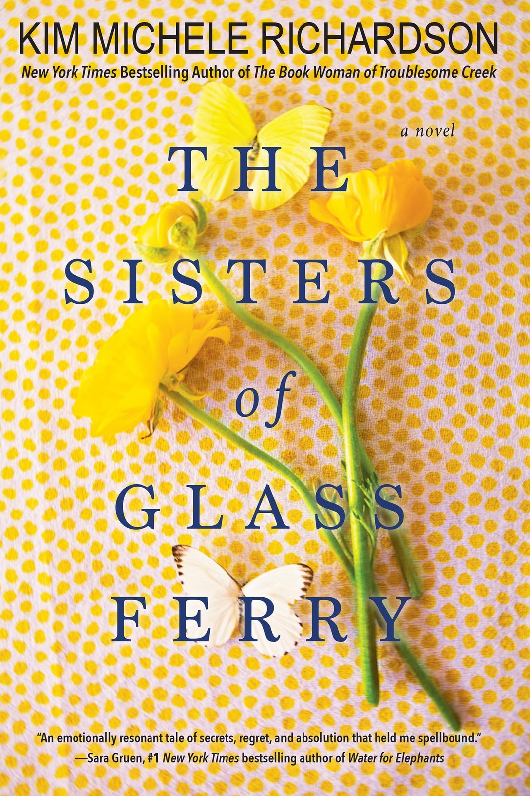 The Sisters of Glass Ferry – paperback Richardson, Kim Michele