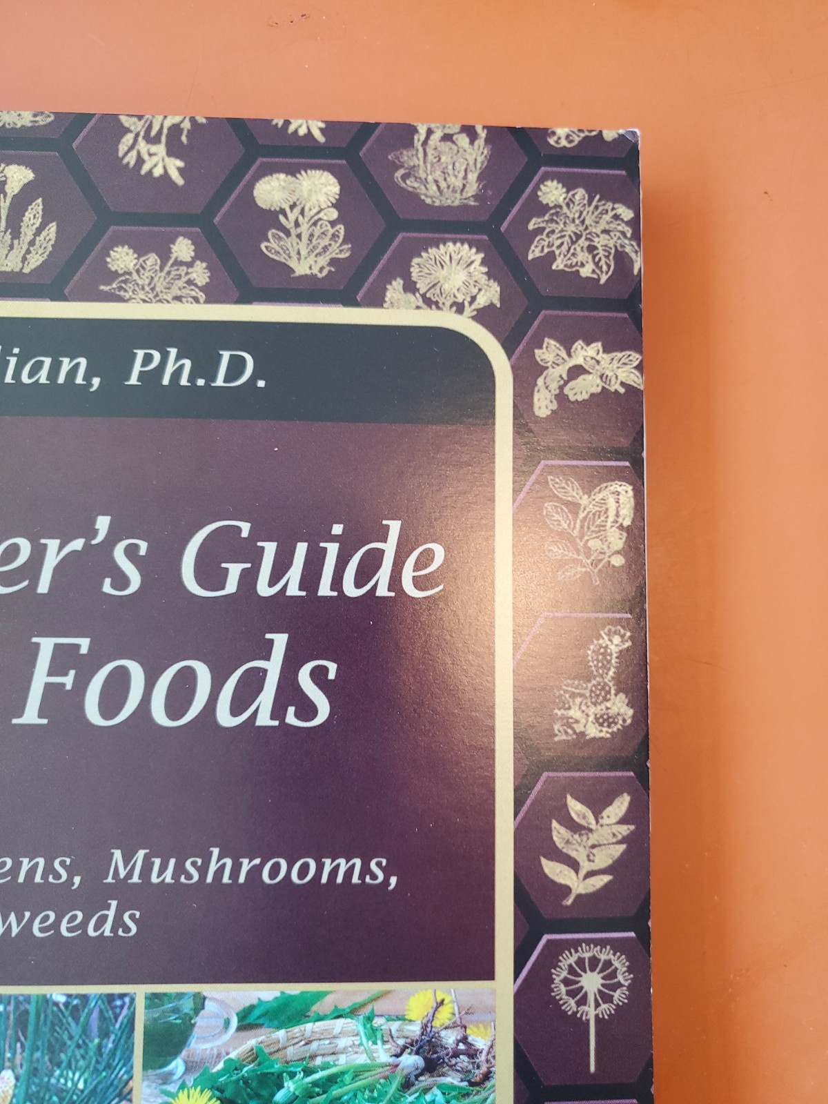 The Forager’s Guide to Wild Foods (paperback with color pictures)