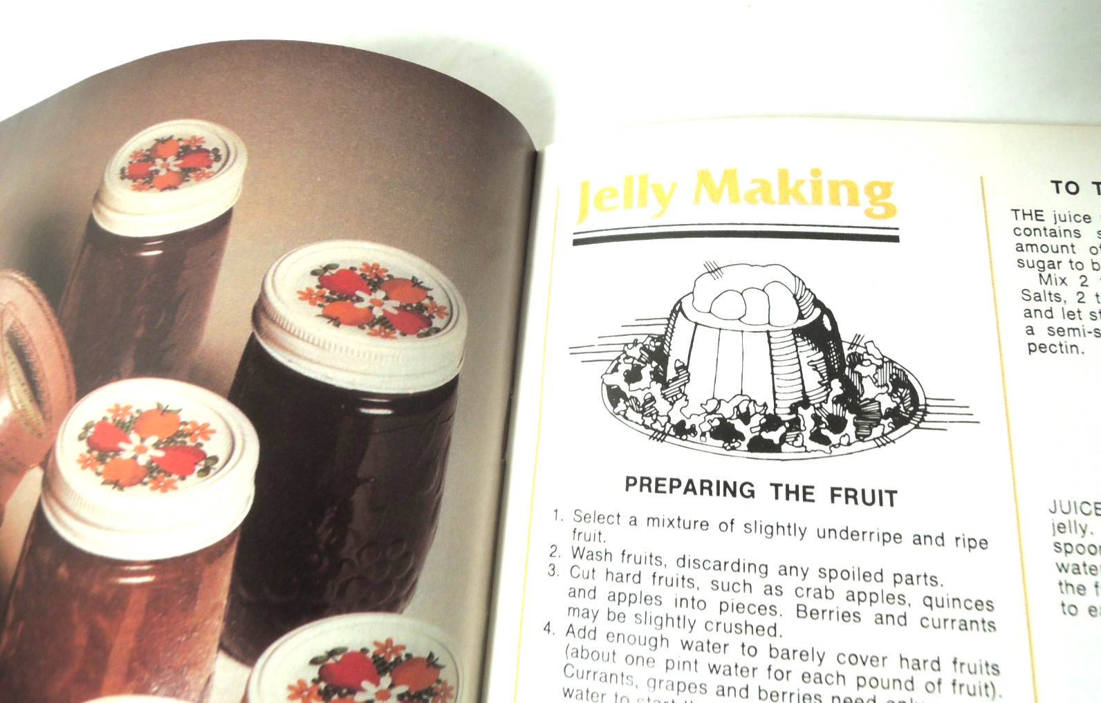 Kerr Home Canning Preserves Pickling 72 pages Illustrated 1982