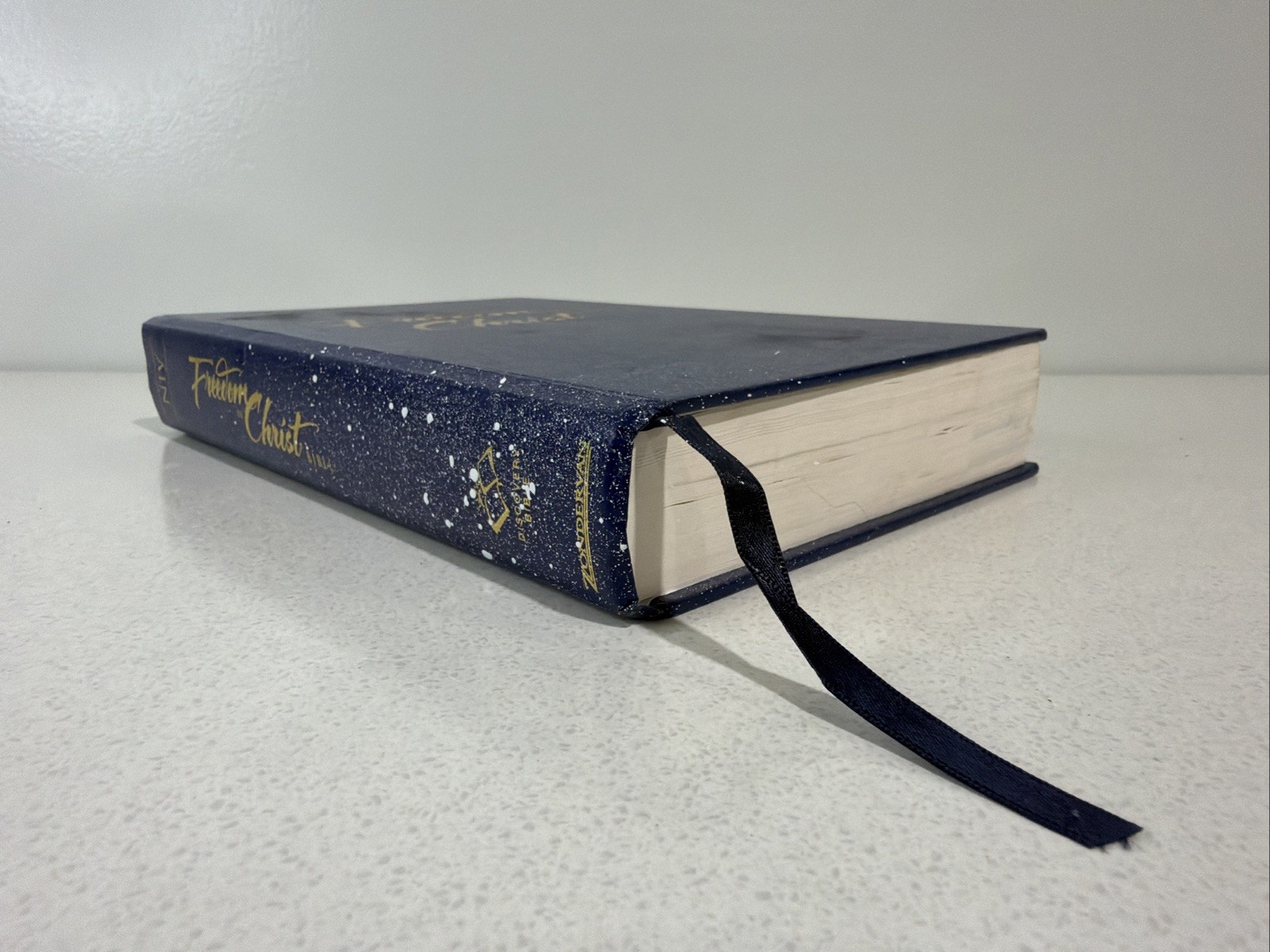 Freedom in Christ Bible by Zondervan Staff Blue 2001 Paint Splatter On Book