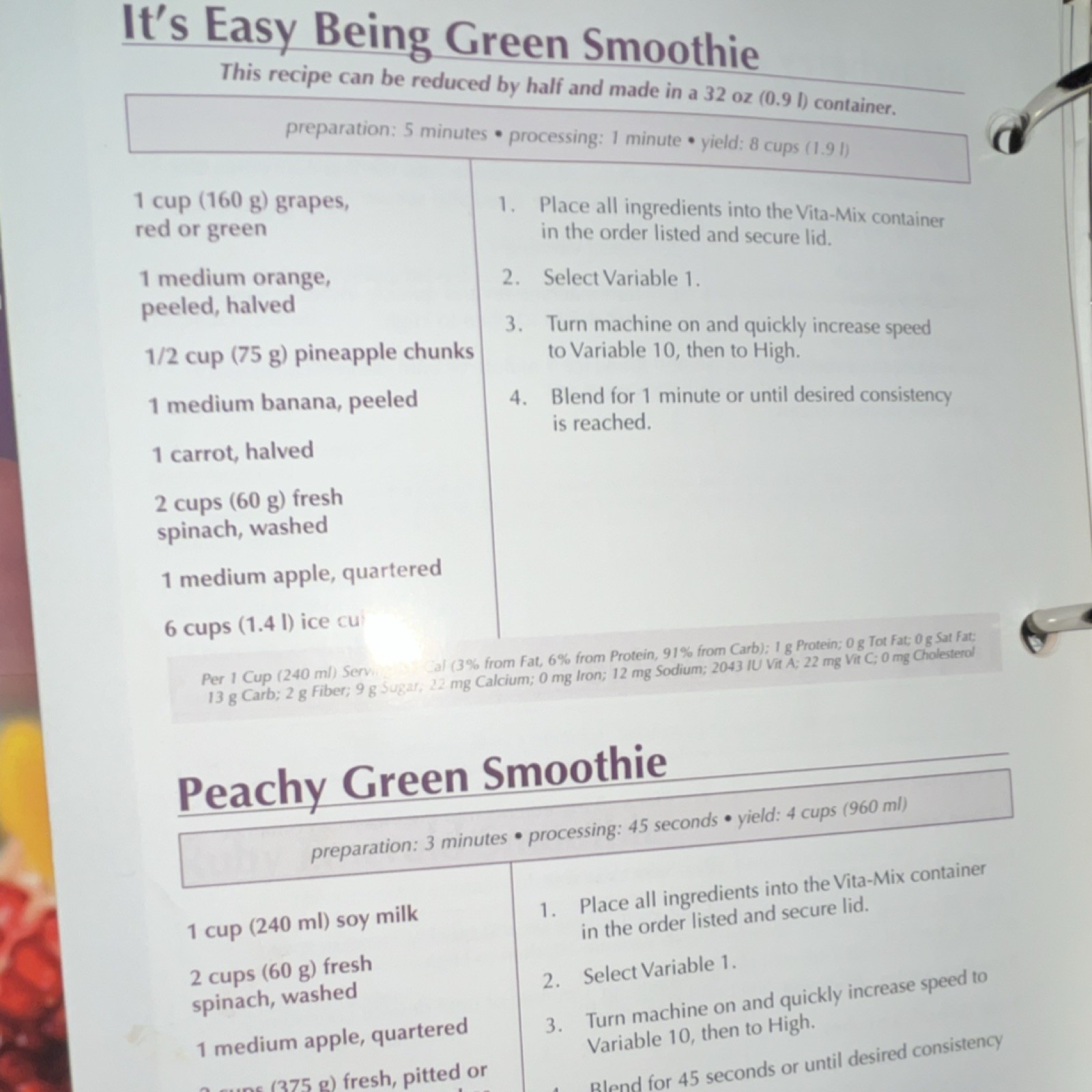 Vita-Mix Whole Food Recipes Ring Bound Cookbook Binder 2009 English