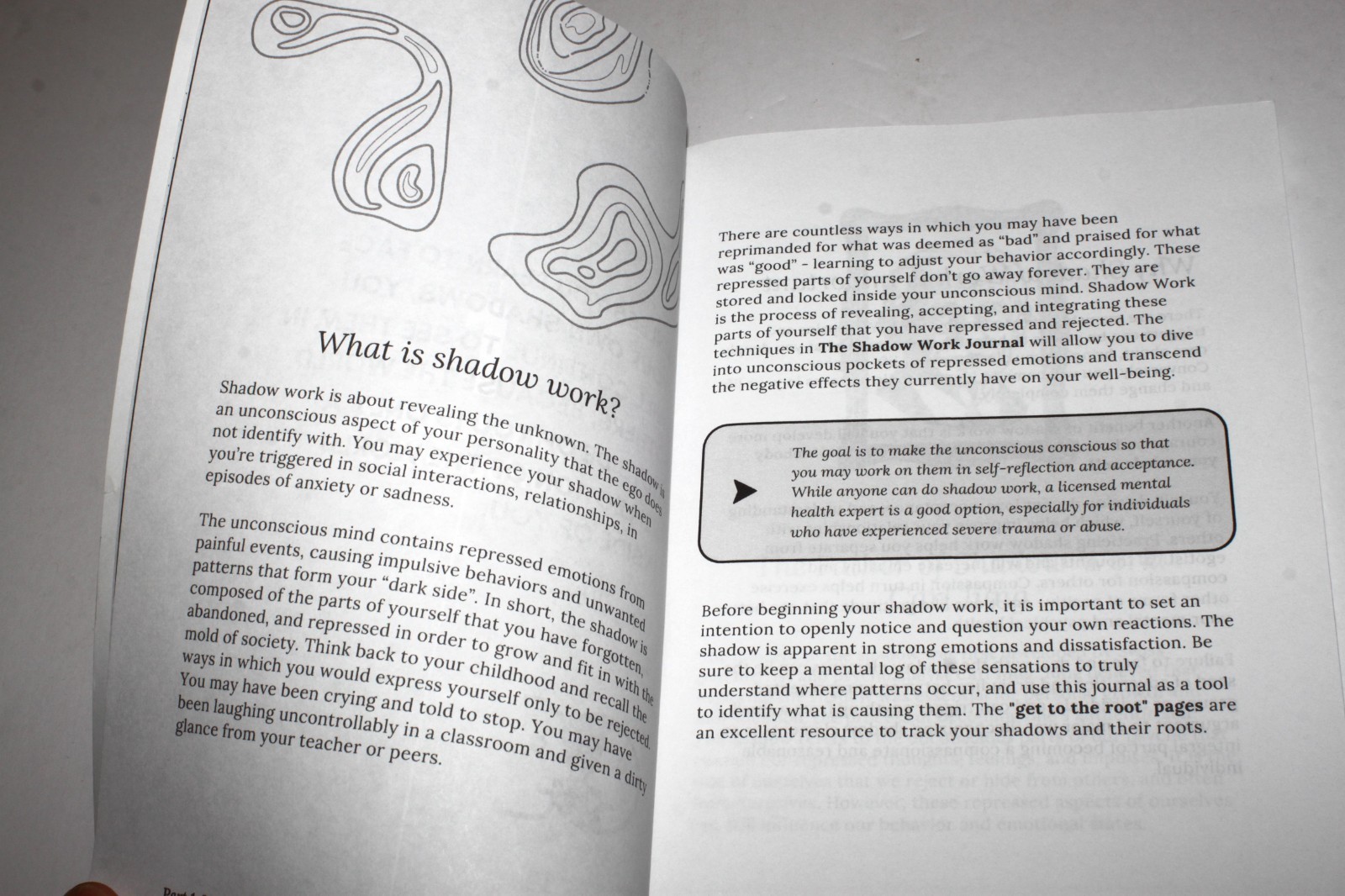 The Shadow Work Journal : a Guide to Integrate & Transcend Your Shadows (2023)