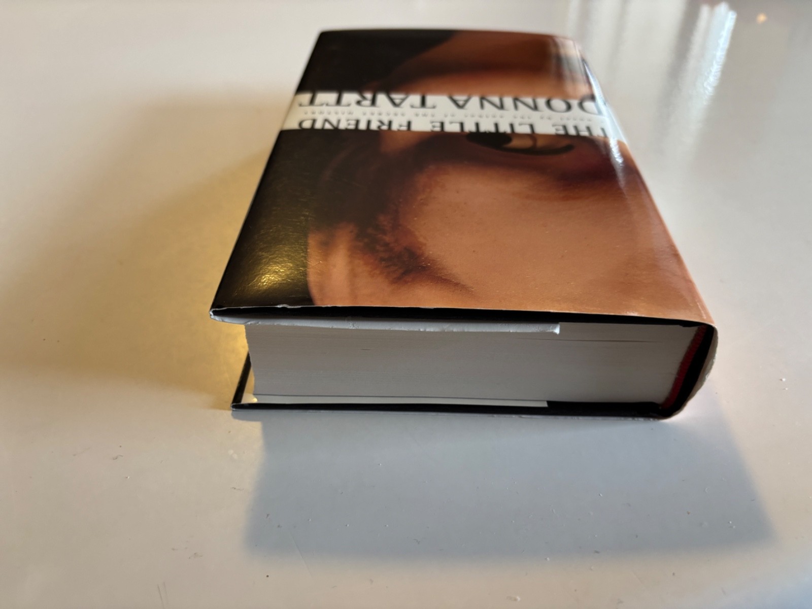 The Little Friend by DONNA TARTT 2002 1st Ed Hardcover DUST-JACKET BeautifulBook