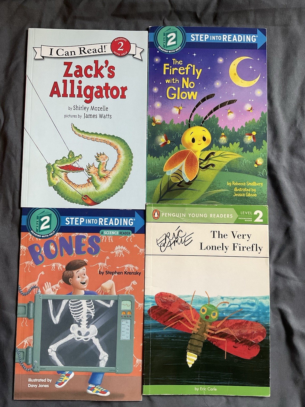 Level 2 I Can Read 14 Book Lot Various Titles Children’s Reading Homeschool