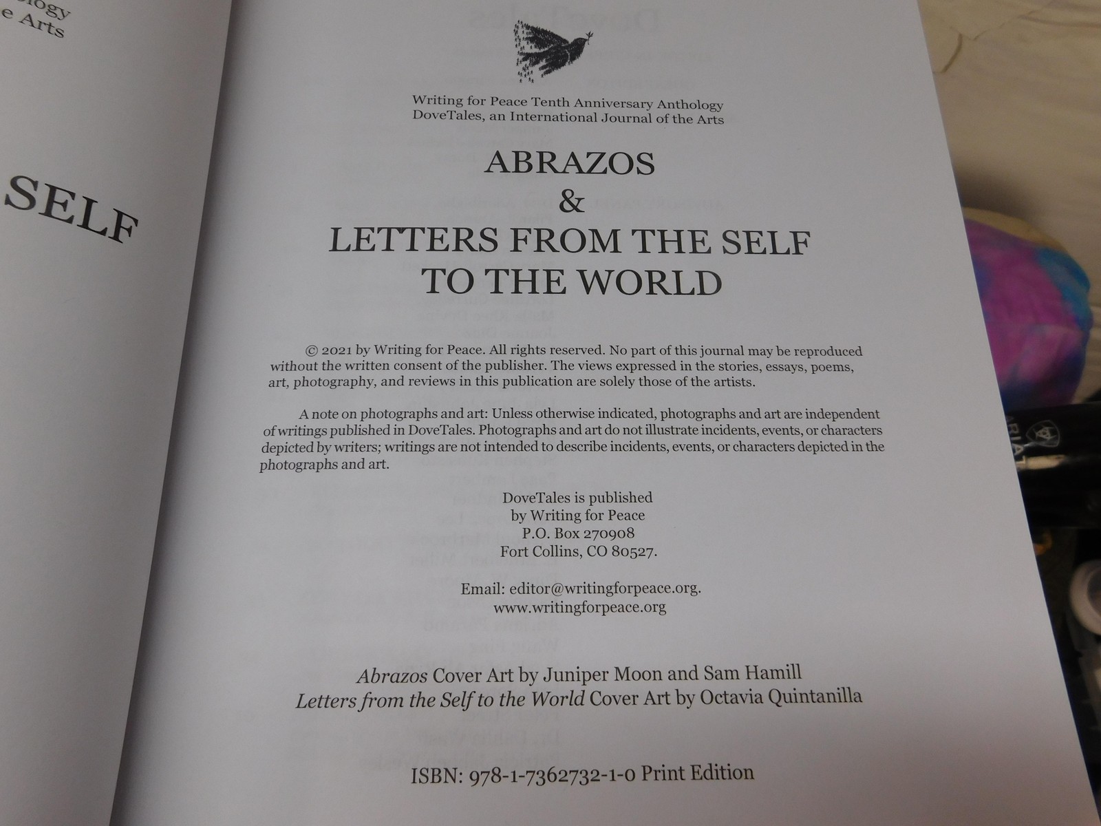 Abrazos DoveTales 10th Anniversary Anthology Letters Self To World PB Book
