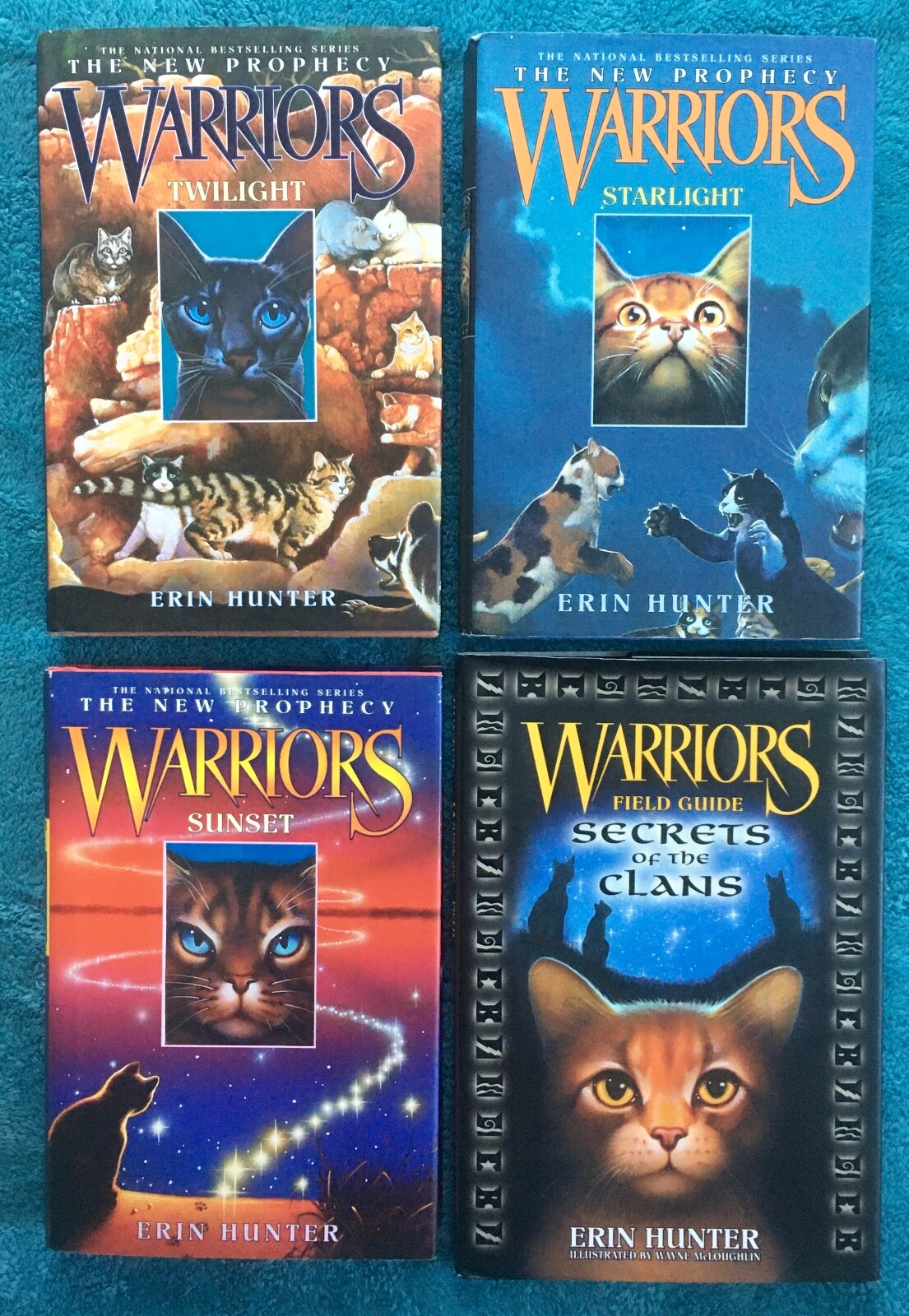 WARRIORS The New Prophecy 4-6 + Field Guide Secrets of the Clans, E. Hunter, HC
