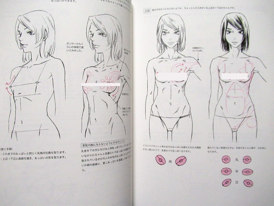 How to Draw Manga Woman’s Breast /Japanese Anime Drawing Illustrations Art Book