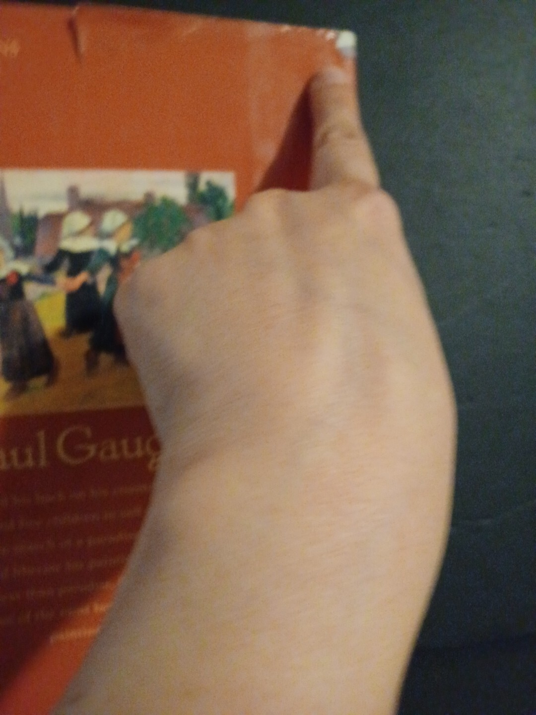 First Impressions : Paul Gauguin Hardcover Howard Greenfeld