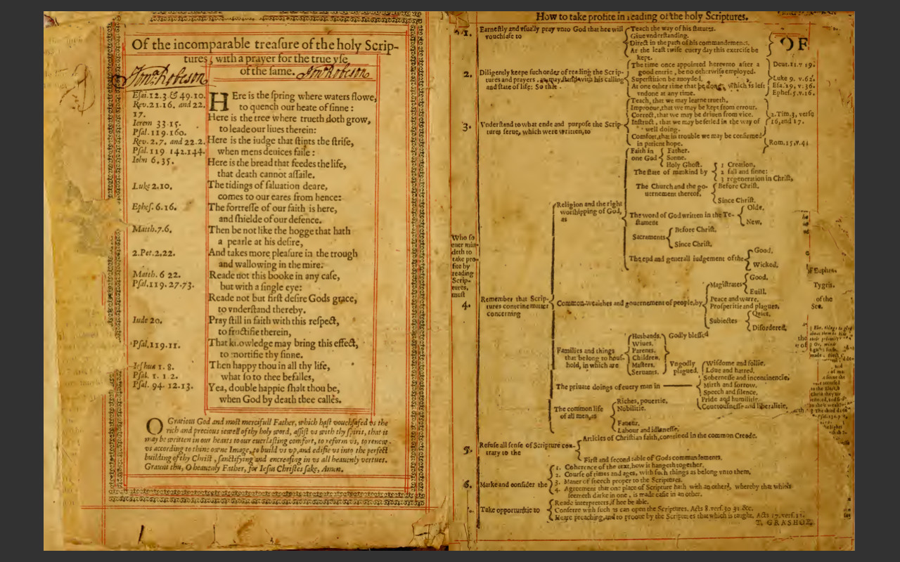 1560 Geneva Bible (E-Book) & Bonus 1599 Bible Ebook on CD-ROM -Scanned Original