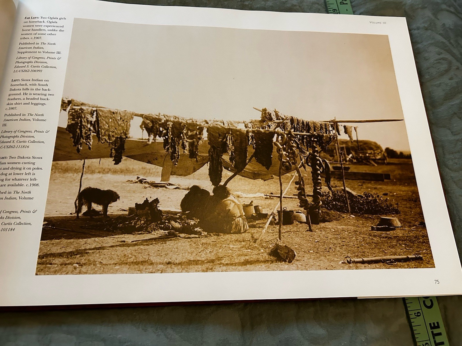 “Native Land Native People” From Edward S. Curtis Collection By Wayne Youngblood