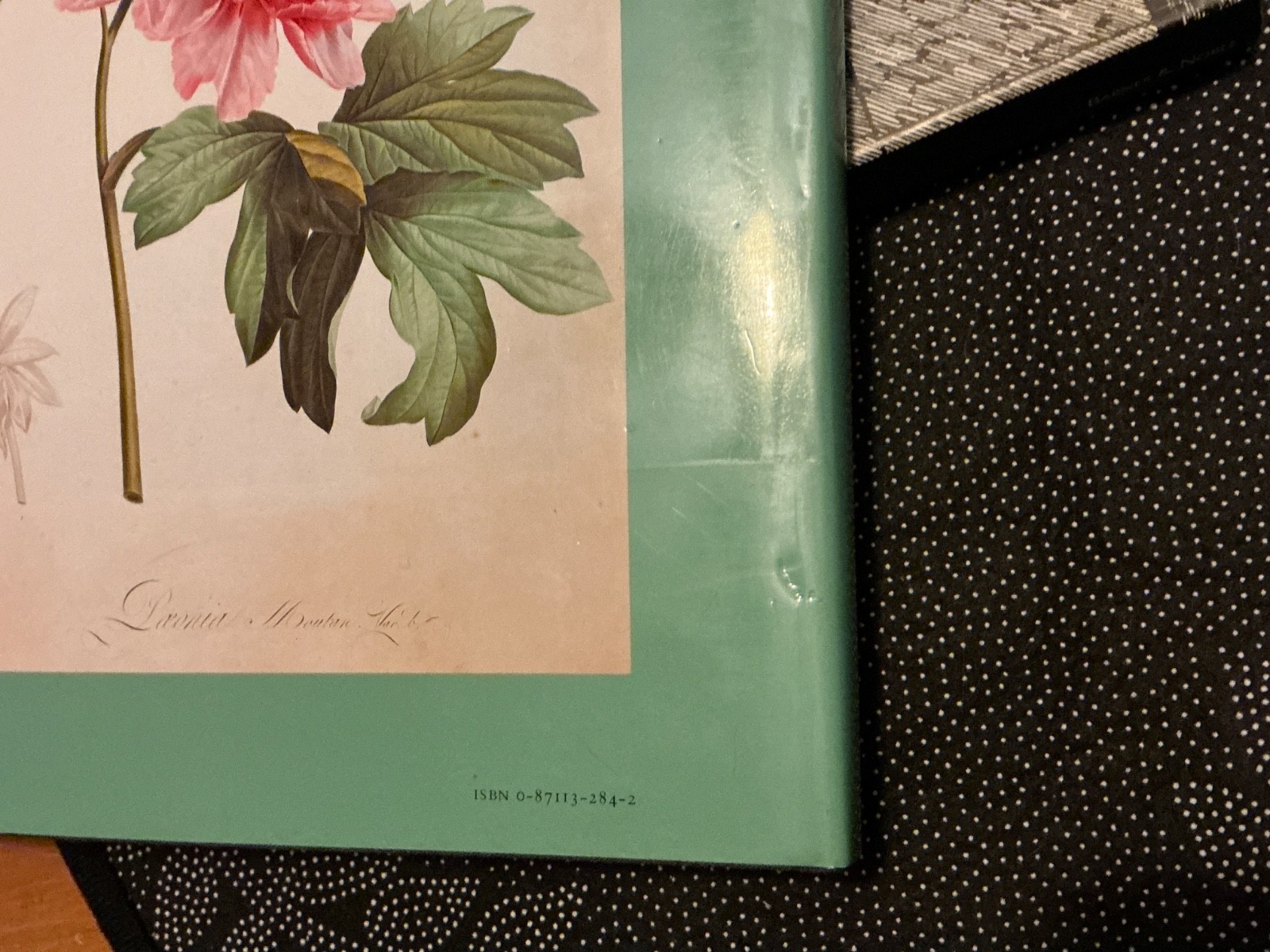 Great Flower Books, 1700-1900: A Bibliographical Record of Two Centuries of …