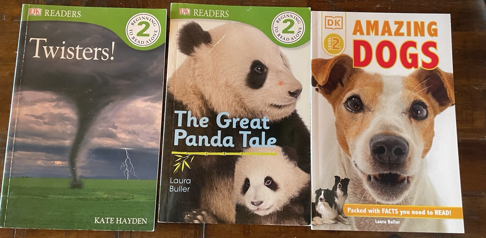 Lot Of 18 DK Readers Level 2 &3 Kids Books Early Readers Mixed Lot Nat Geo, Etc