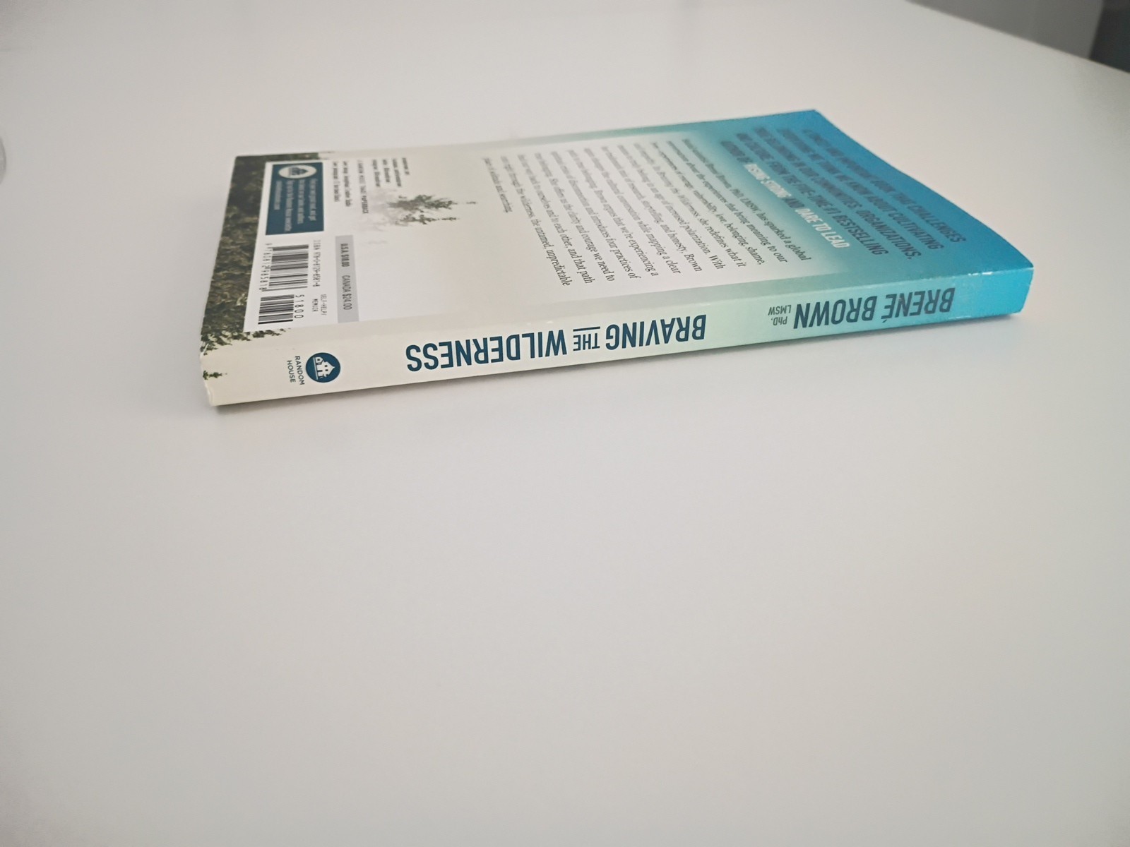 New Braving The Wilderness Brene Brown NY Times Bestseller Soft Cover