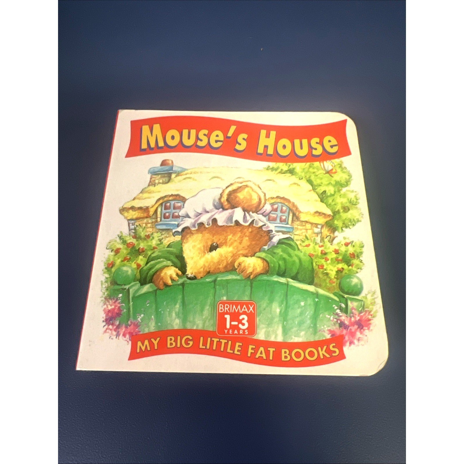 MOUSE’S HOUSE (BIG LITTLE FAT BOOKS) By Lorna Read & Roy Trower – Hardcover *VG*