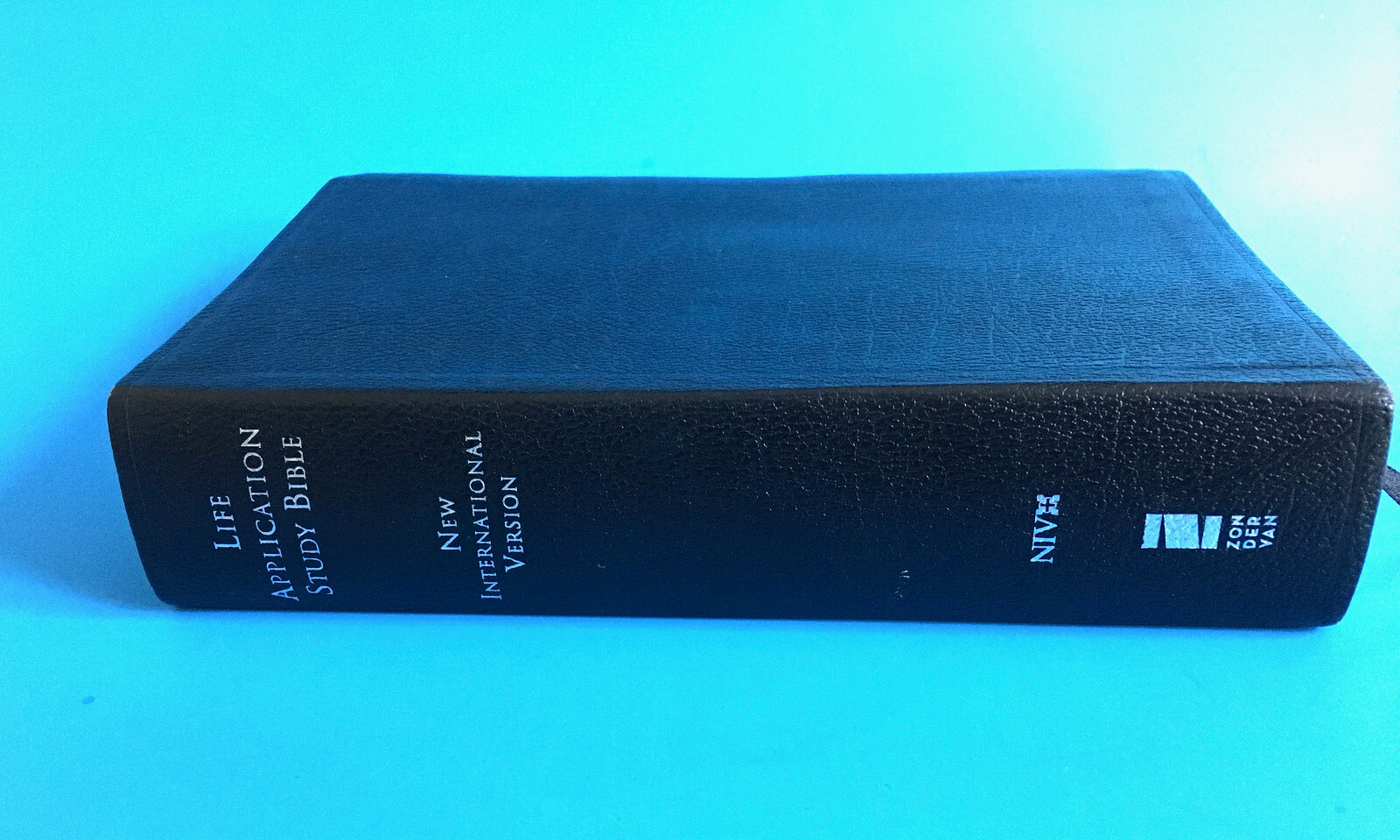 Life Application Study Bible International Version Tyndale 2005, Gilded Pages