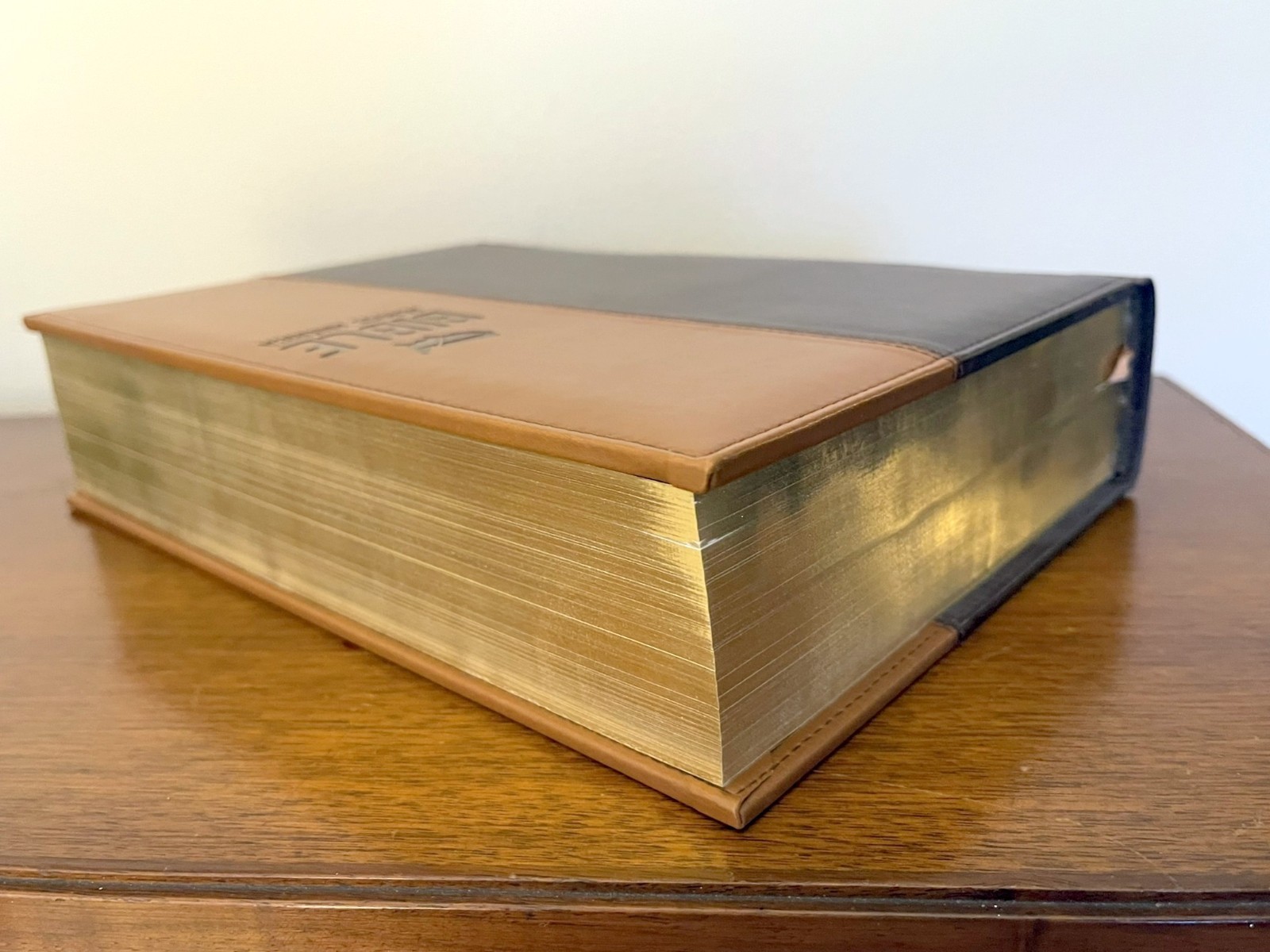 NIV Bible Across America by Zondervan Staff (2009, Leather) Very Good