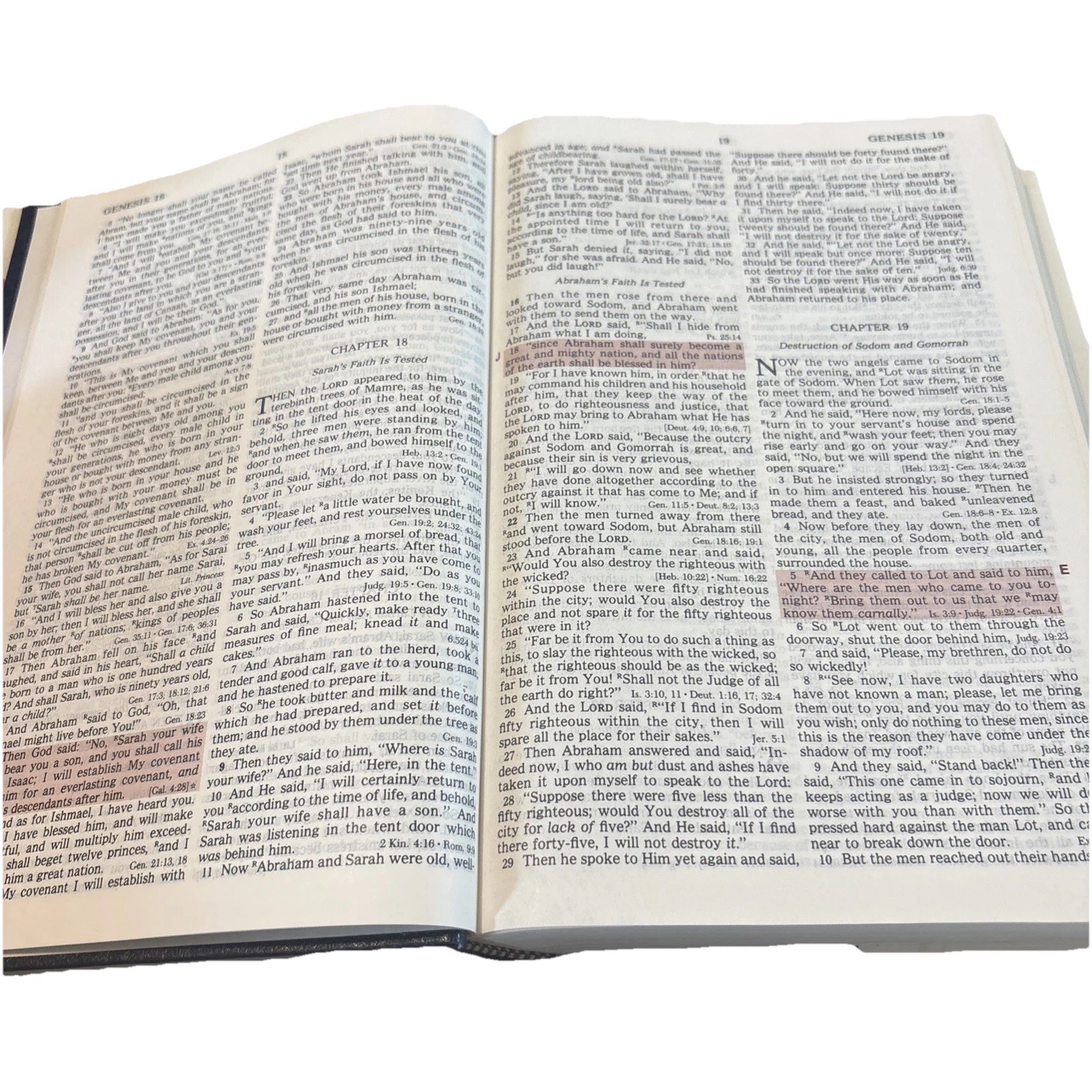 1985 Nelson The Prophecy Edition Bible 403 HCDJ Very Good