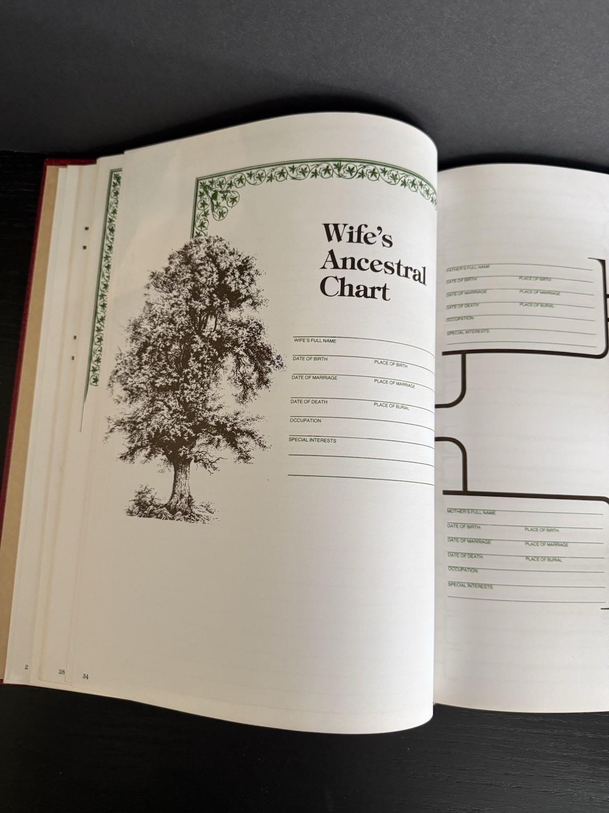 Our Family Tree Record Book 1977 A HISTORY OF OUR FAMILY Poplar Books