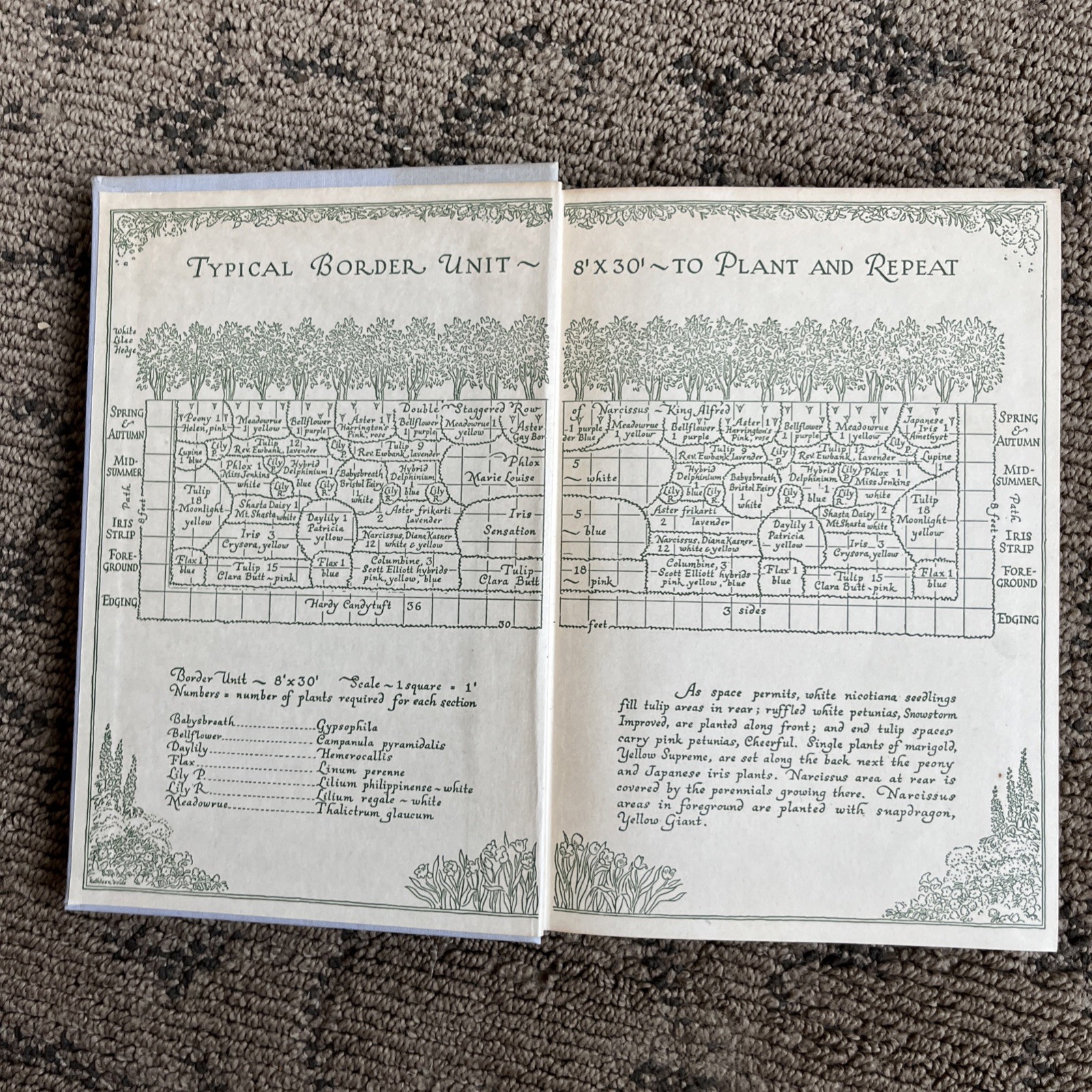⁠Vintage 1945 Perennials Preferred Helen Van Pelt Wilson 1st Printing HCDJ