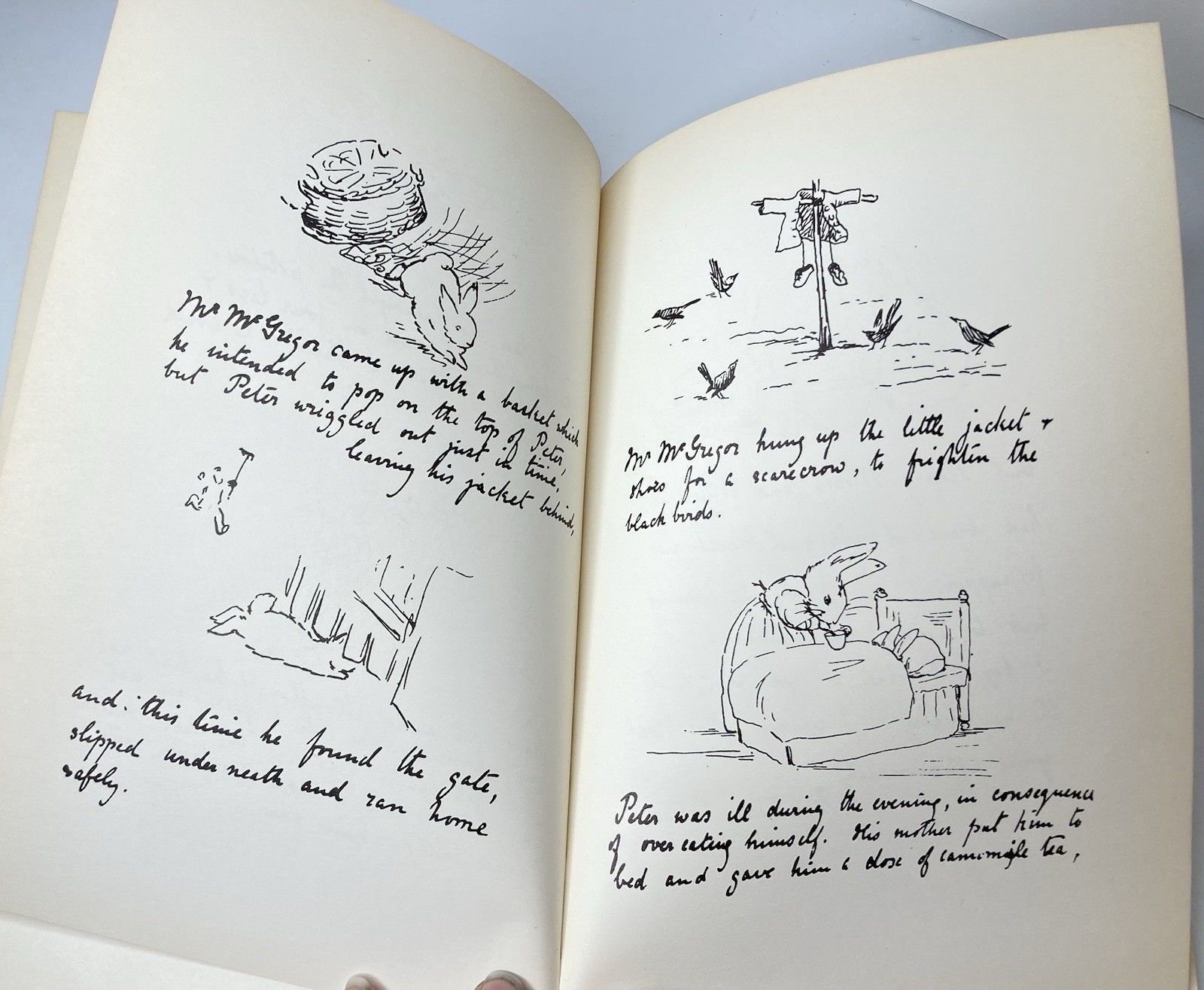 History of the Tale of Peter Rabbit Warne 1976 History Potter Private Printing