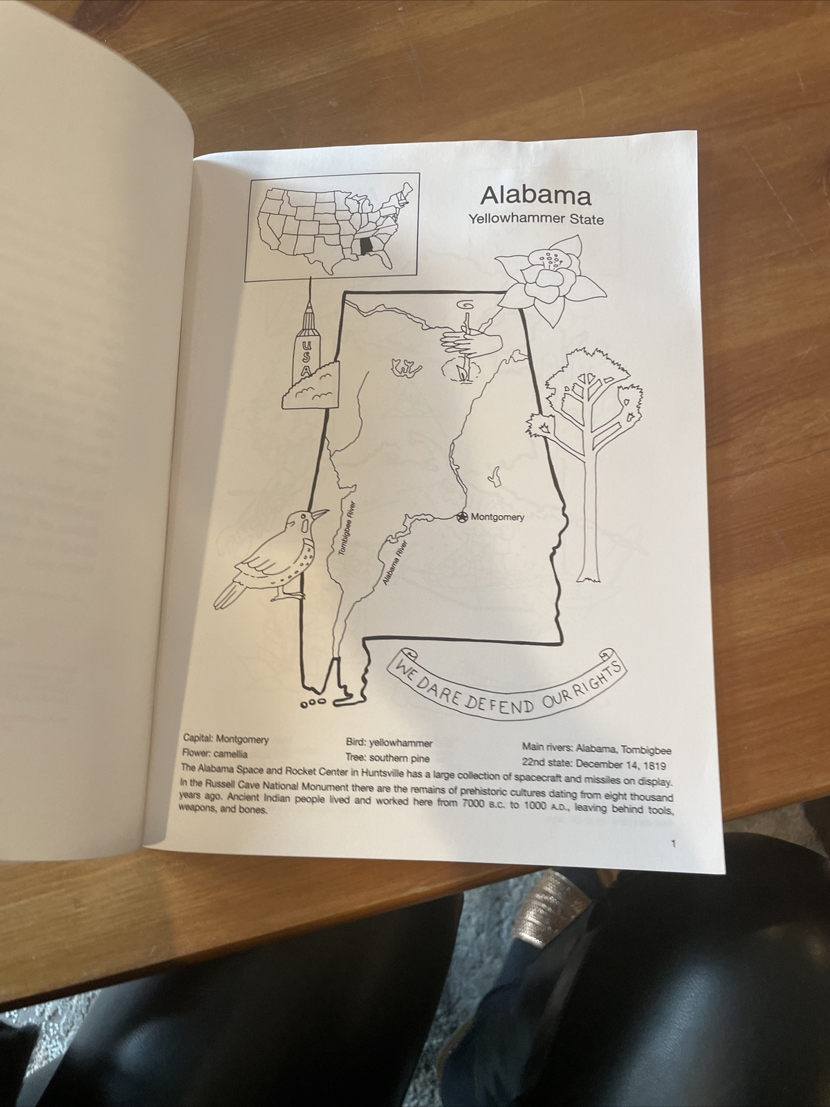 Dover American History Coloring Bks.: United States Coloring Book by Winky Adam