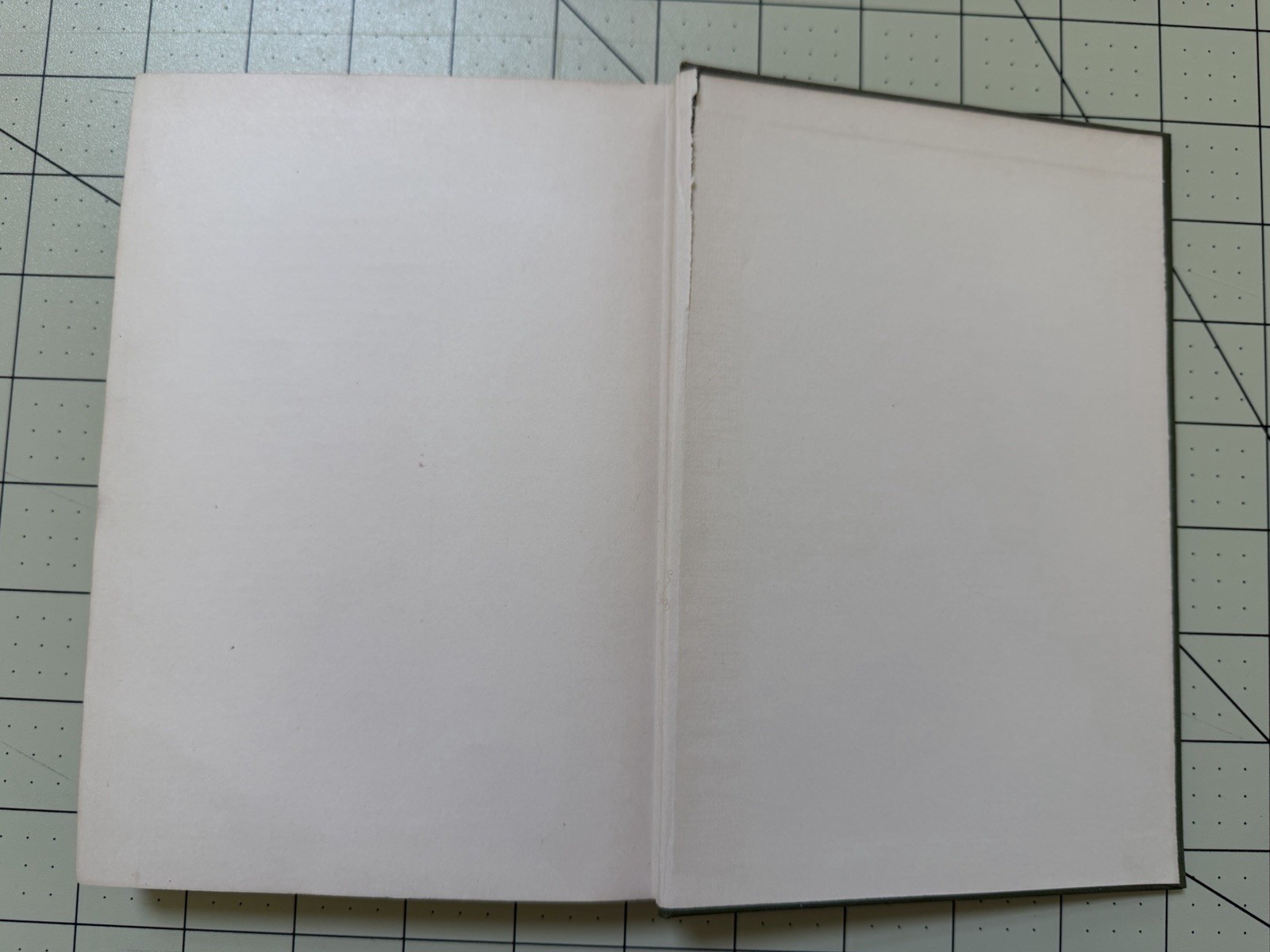 The Story of Canada Blackie by Anne P. L. Field 1915 FIRST EDITION (Sing Sing)